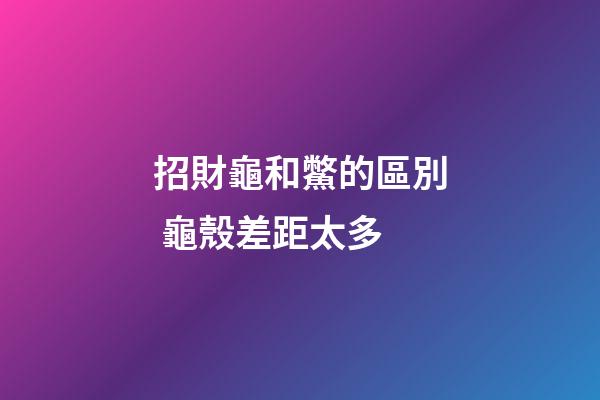 招財龜和鱉的區別 龜殼差距太多